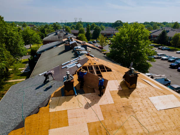 Best Metal Roofing Contractor  in Vassar, MI