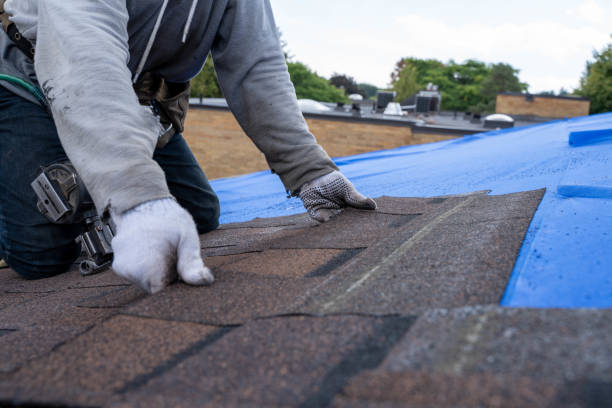 Best Commercial Roofing Services  in Vassar, MI