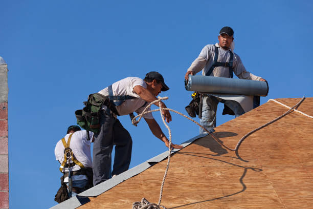 Best Roof Leak Repair  in Vassar, MI