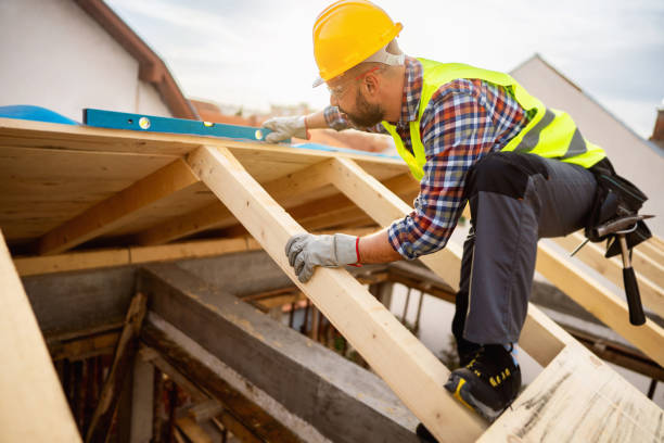 Best Affordable Roof Replacement  in Vassar, MI