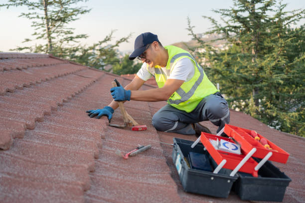 Best New Roof Installation  in Vassar, MI