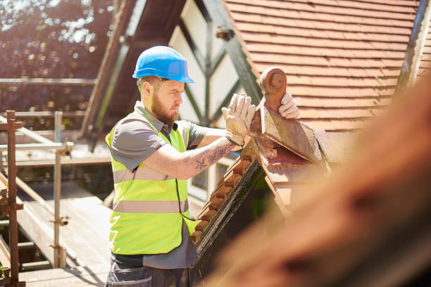 Best Roof Leak Repair  in Vassar, MI