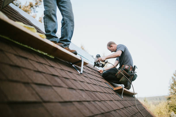 Best Flat Roof Repair Services  in Vassar, MI